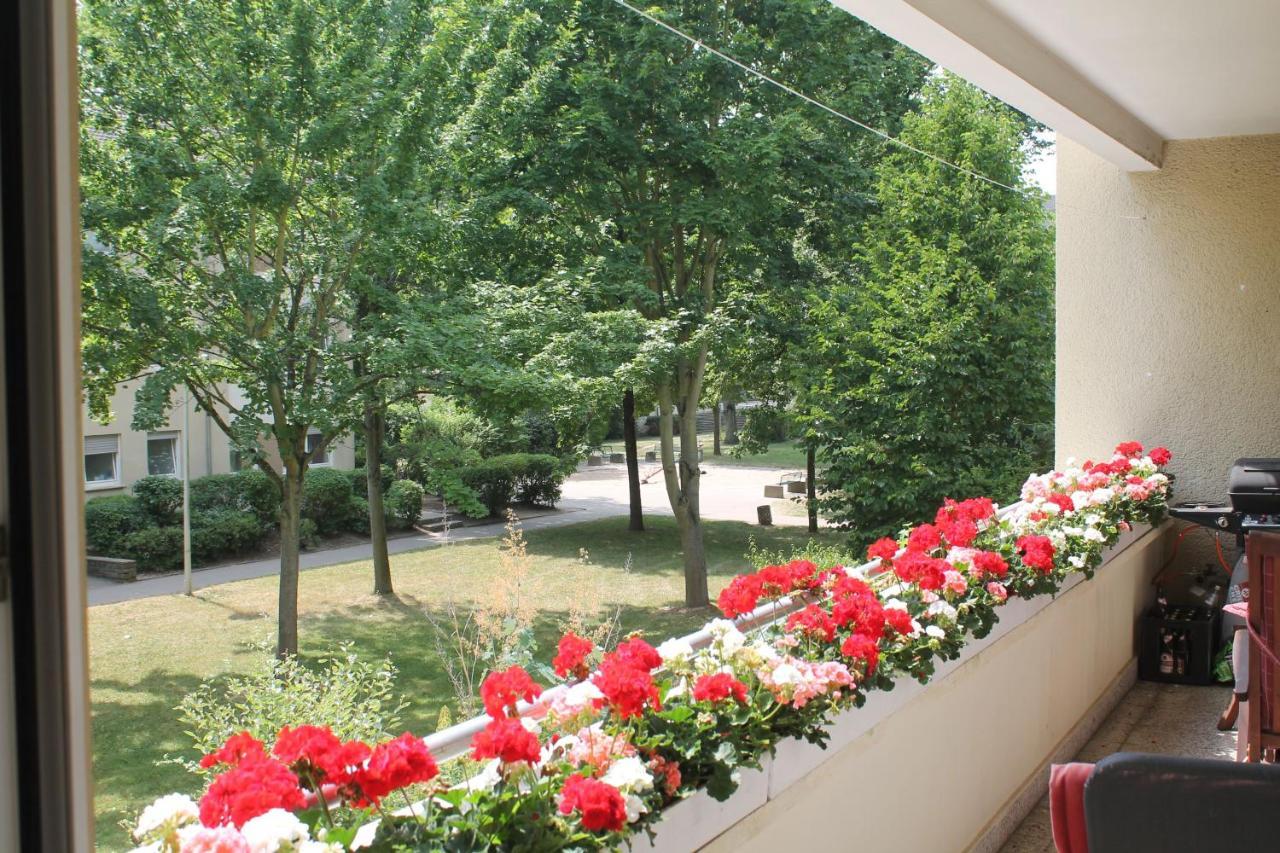 Bed & Breakfast Bonn 24 Mai Bis14 Juni Mit Hund In Der Wohnung Buitenkant foto